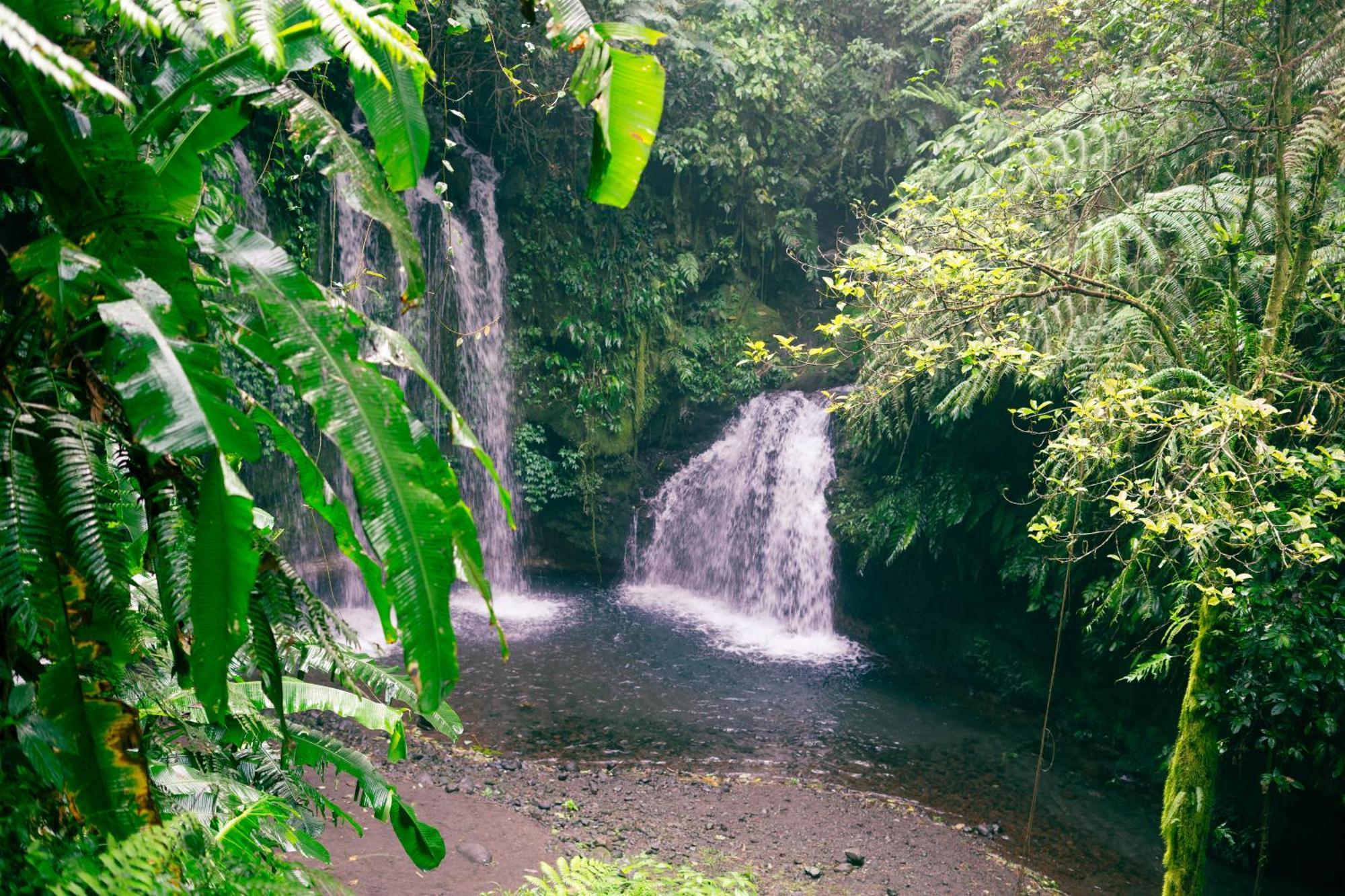 Santya Loka Lodge & Twin Waterfall Jatiluwih Zewnętrze zdjęcie