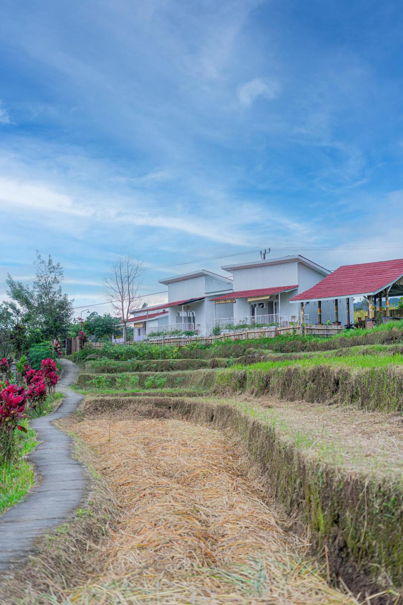 Santya Loka Lodge & Twin Waterfall Jatiluwih Zewnętrze zdjęcie