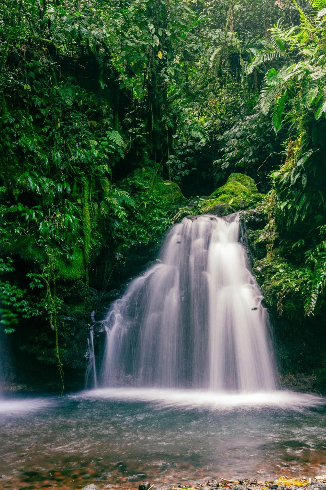 Santya Loka Lodge & Twin Waterfall Jatiluwih Zewnętrze zdjęcie