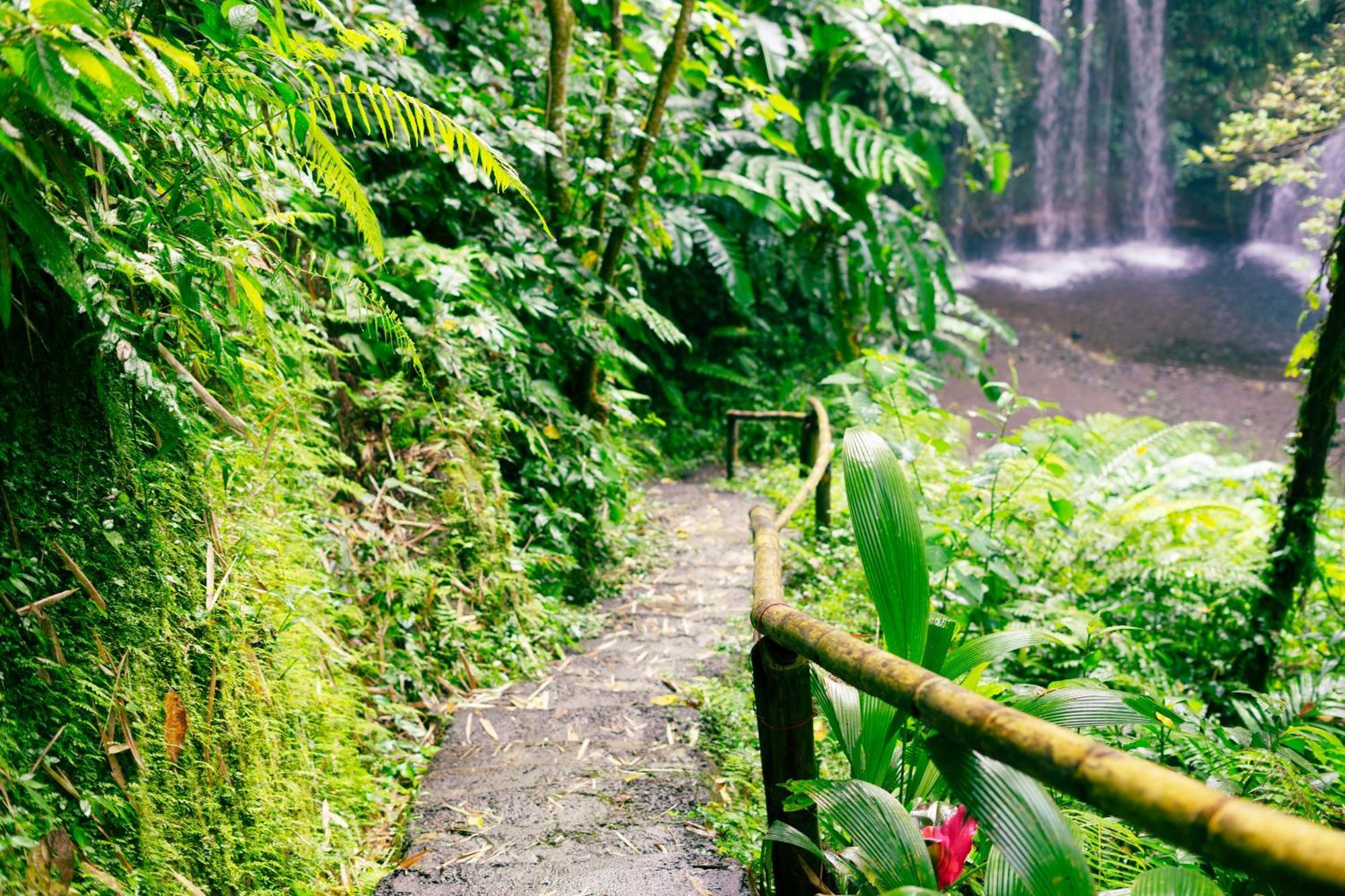 Santya Loka Lodge & Twin Waterfall Jatiluwih Zewnętrze zdjęcie