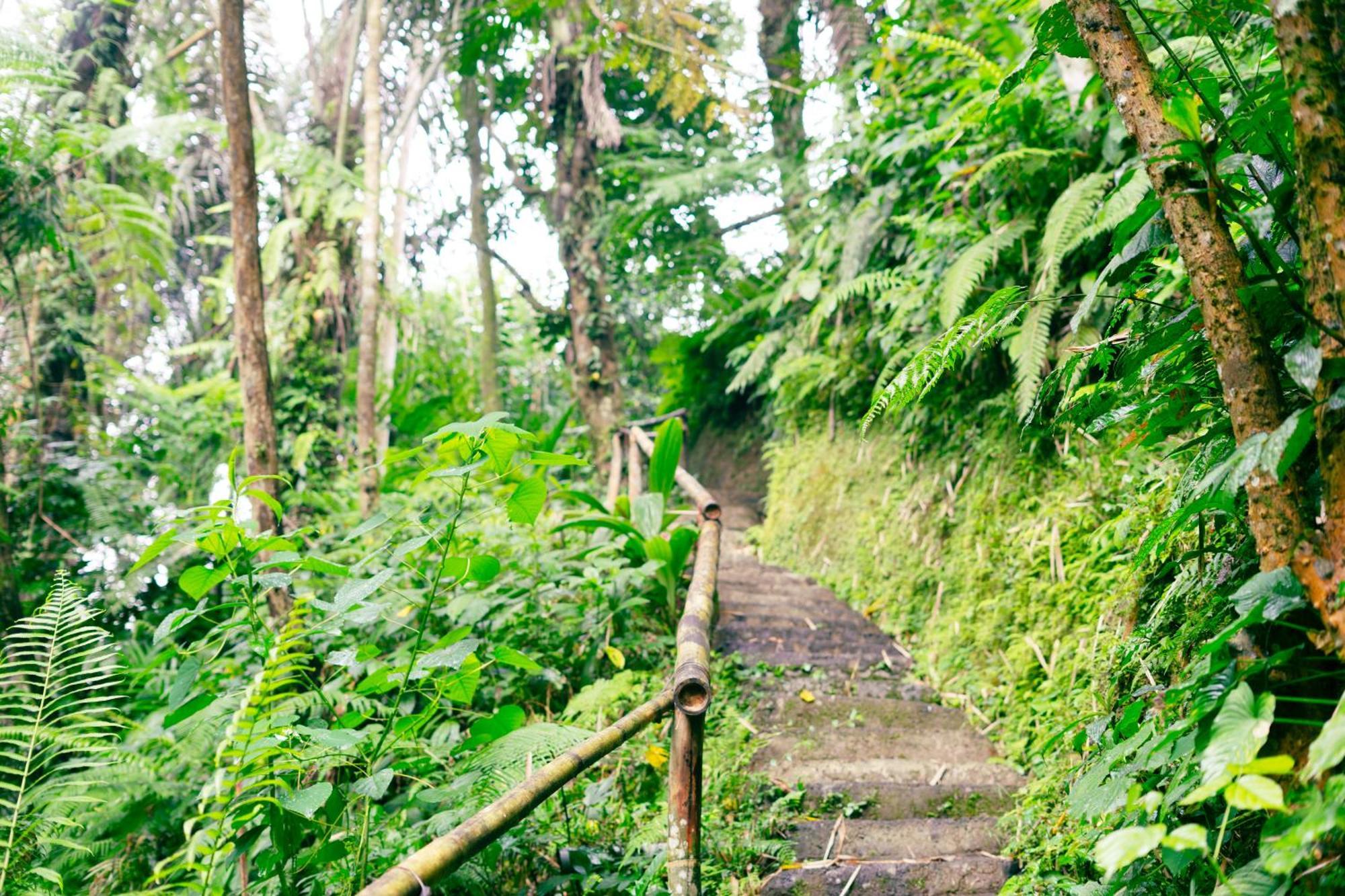 Santya Loka Lodge & Twin Waterfall Jatiluwih Zewnętrze zdjęcie