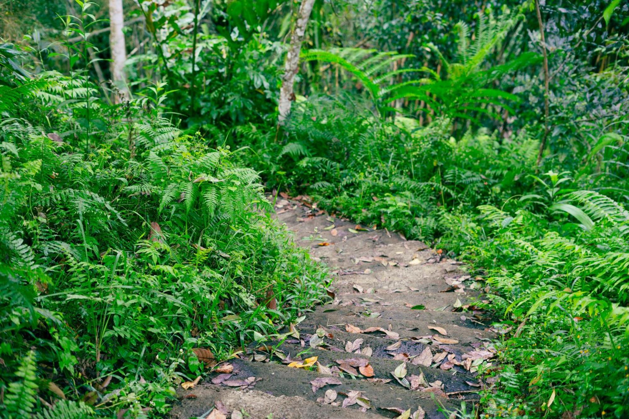 Santya Loka Lodge & Twin Waterfall Jatiluwih Zewnętrze zdjęcie