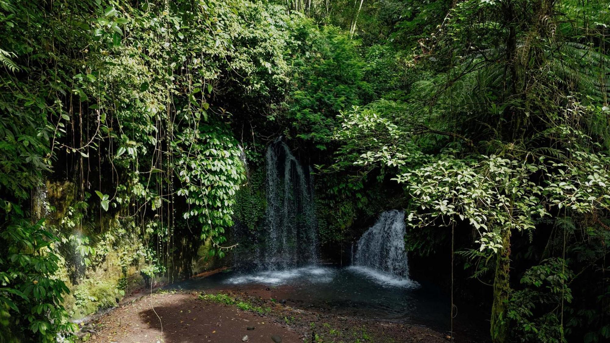 Santya Loka Lodge & Twin Waterfall Jatiluwih Zewnętrze zdjęcie