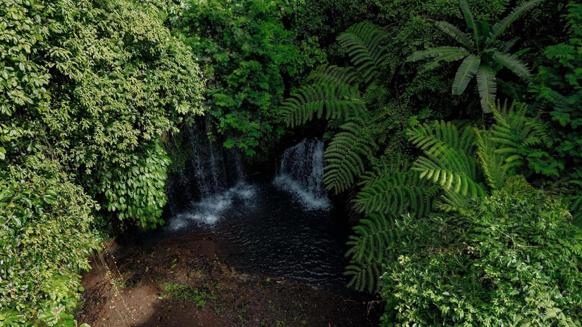 Santya Loka Lodge & Twin Waterfall Jatiluwih Zewnętrze zdjęcie