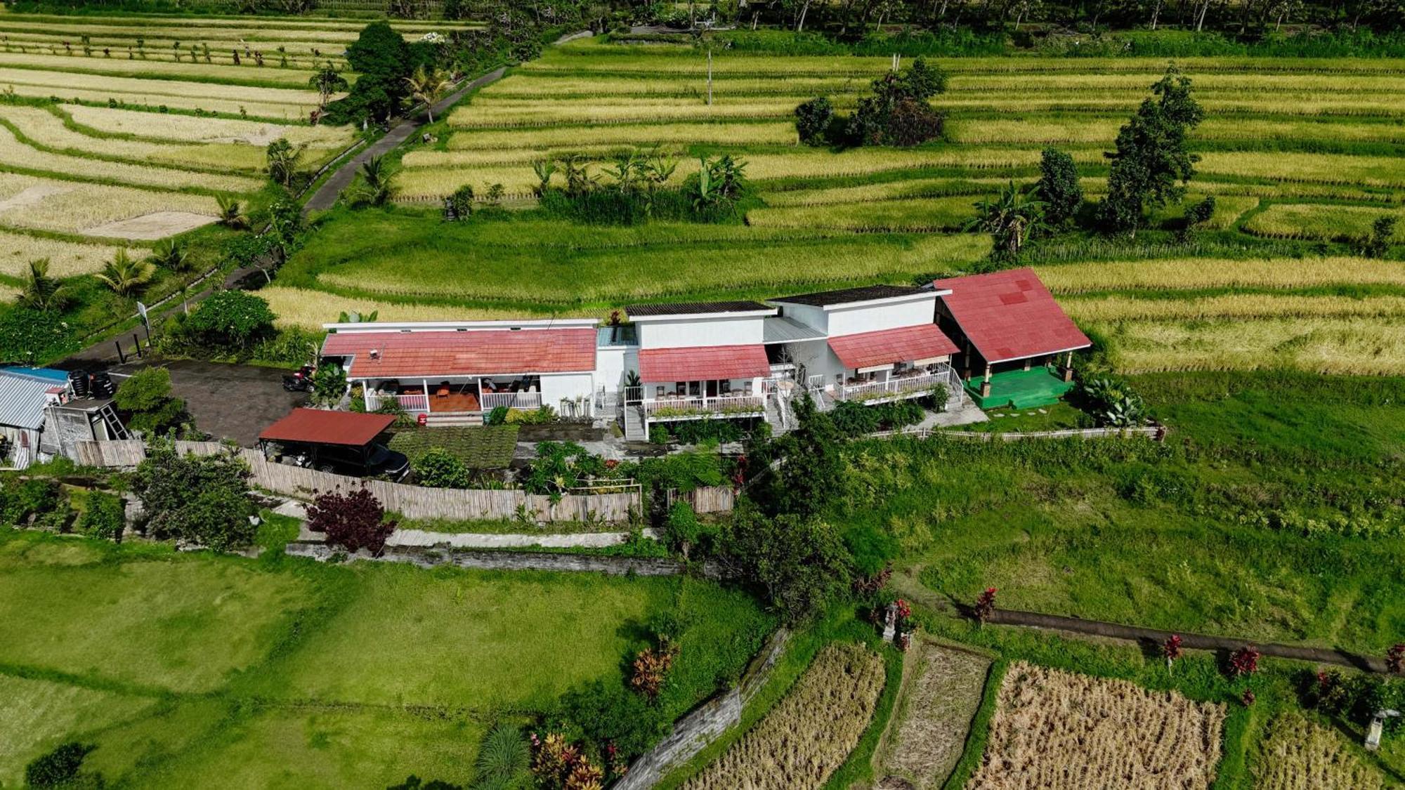 Santya Loka Lodge & Twin Waterfall Jatiluwih Zewnętrze zdjęcie