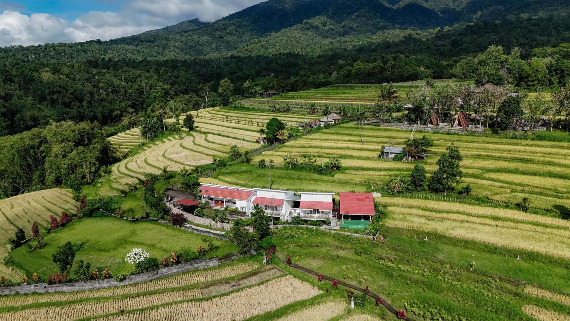 Santya Loka Lodge & Twin Waterfall Jatiluwih Zewnętrze zdjęcie