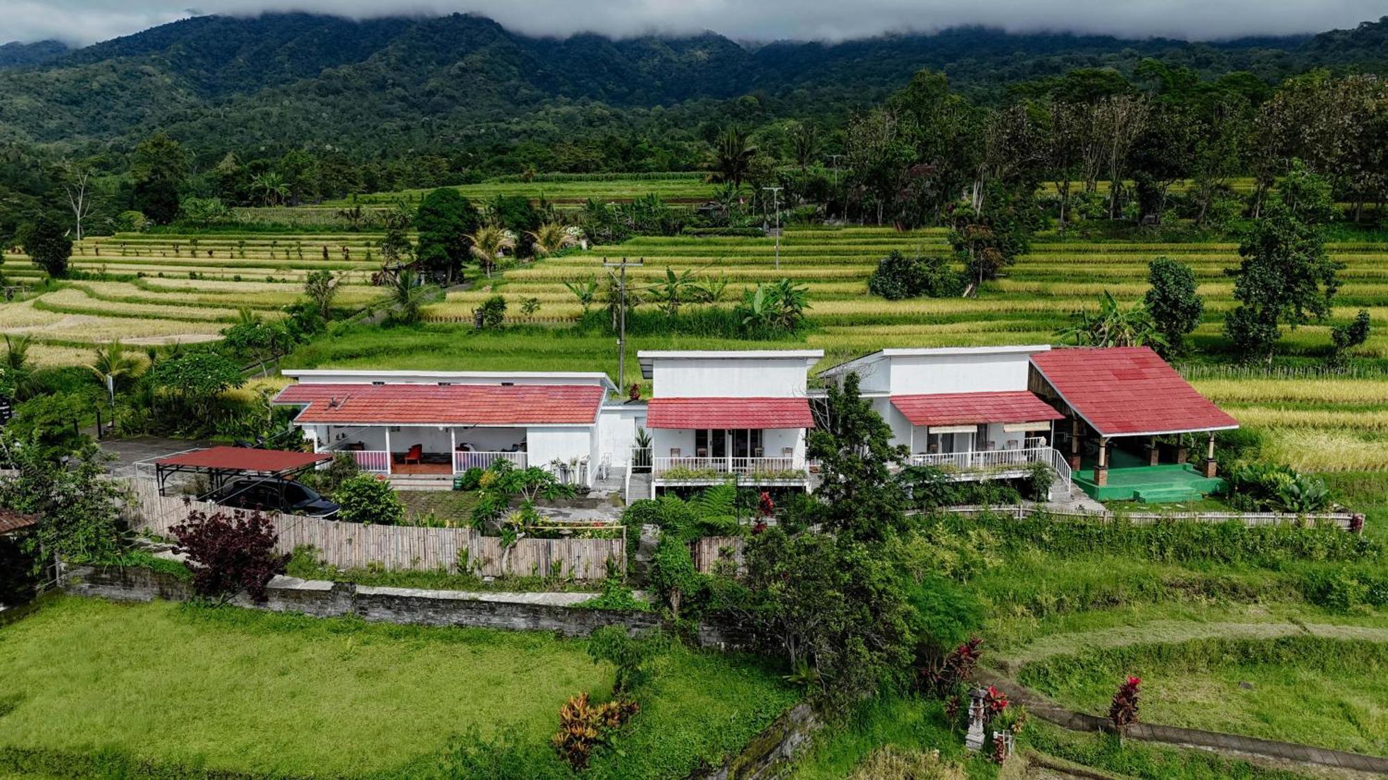 Santya Loka Lodge & Twin Waterfall Jatiluwih Zewnętrze zdjęcie
